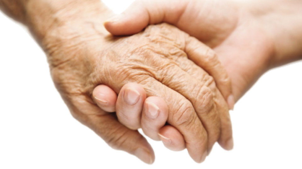 Warm Nursing care to Elderly and aging friendly environment